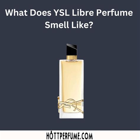 where can i buy ysl cologne|what does YSL smell like.